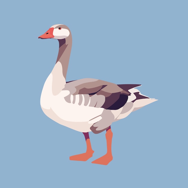 Vector goose a bird with a long neck vector illustration in a flat style