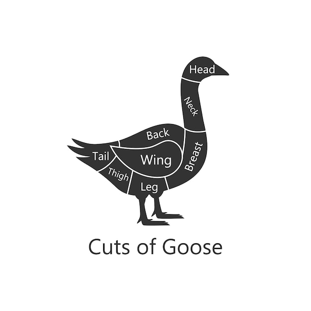 Goose butchery diagram Cuts of Goose Perfect for restaurant menus and educational materials