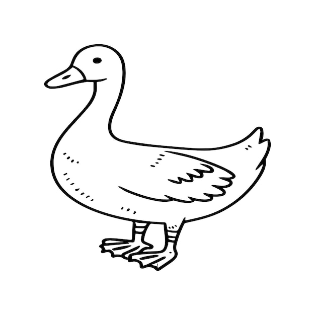 Goose coloring pages Bird outline for coloring book