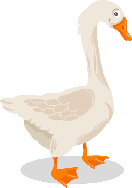 goose farm bird cartoon illustration