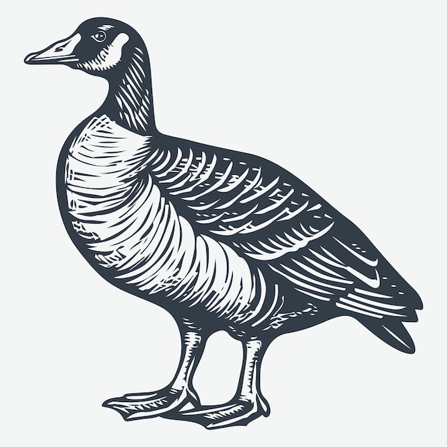 Goose vintage woodcut drawing vector