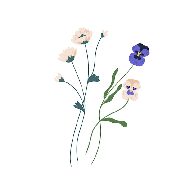 Gorgeous bunch of blossomed wildflowers like pansies and clovers. Delicate wild flowers isolated on white background. Botanical floral element. Colorful flat vector illustration.