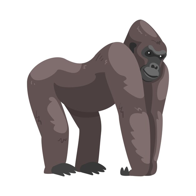 Vector gorilla monkey as grounddwelling herbivorous great ape vector illustration