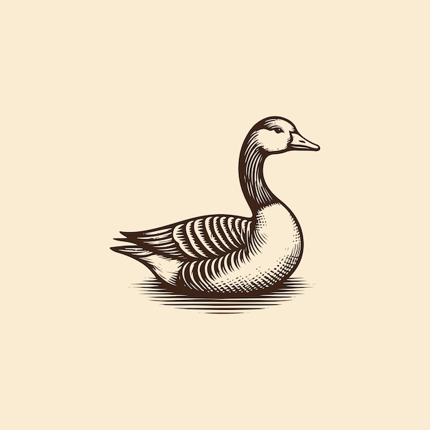 Graceful Hand Drawn Goose Illustration