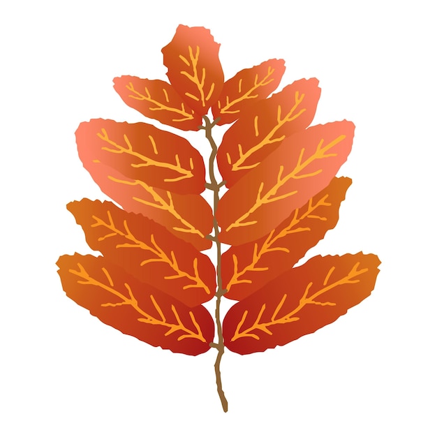 Gradient autumn rowan leaf in modern style on white background Vector illustration isolated Ecology concept Plant leaf sign