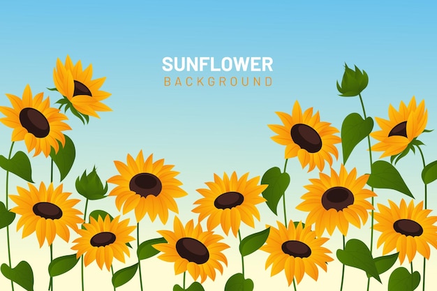 Gradient sunflower illustration background