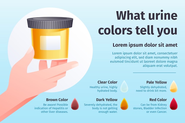 Gradient urine color infographic