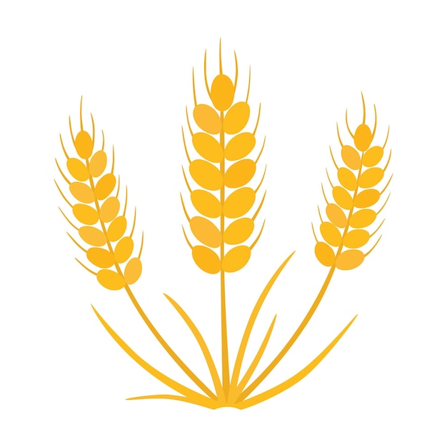 Grain, wheat icon.