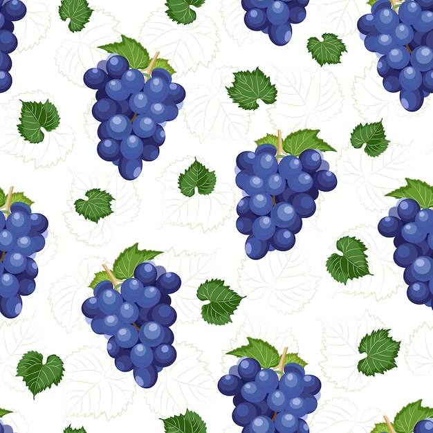 Grape bunch seamless pattern on white background with leaves