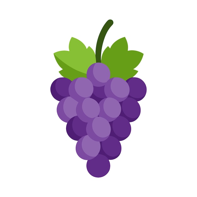 Grape flat vector illustration on white background