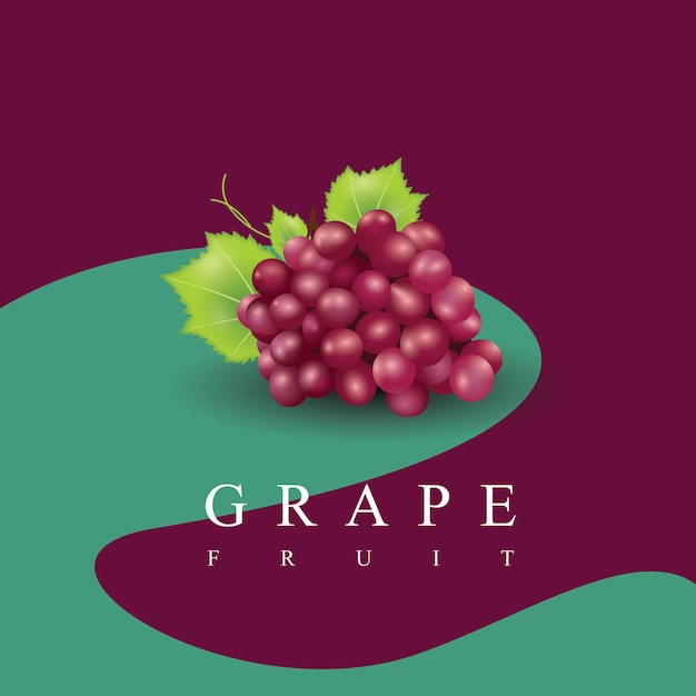 Grape fruit realistic illustration  