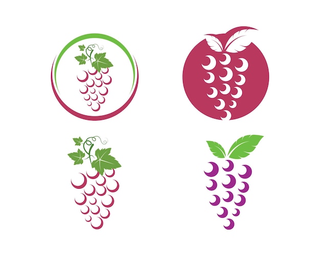 Grape fruits with leaf icon vector illustrtion