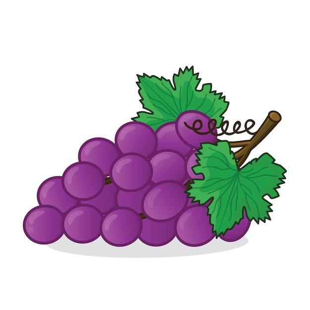 Grape grape vector grapes vector icon cartoon fresh grapes fresh purple grape with leaf