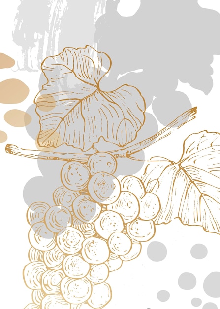 Grape hand Painted Illustrations for Wall Decoration minimalist flower in sketch style