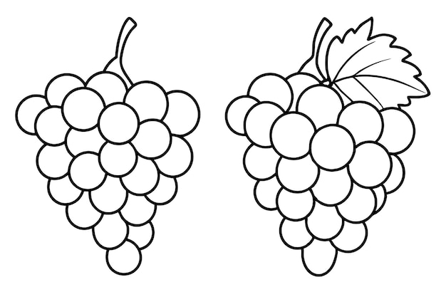 Grape Line Art Decorative Elements for Artistic Design Projects