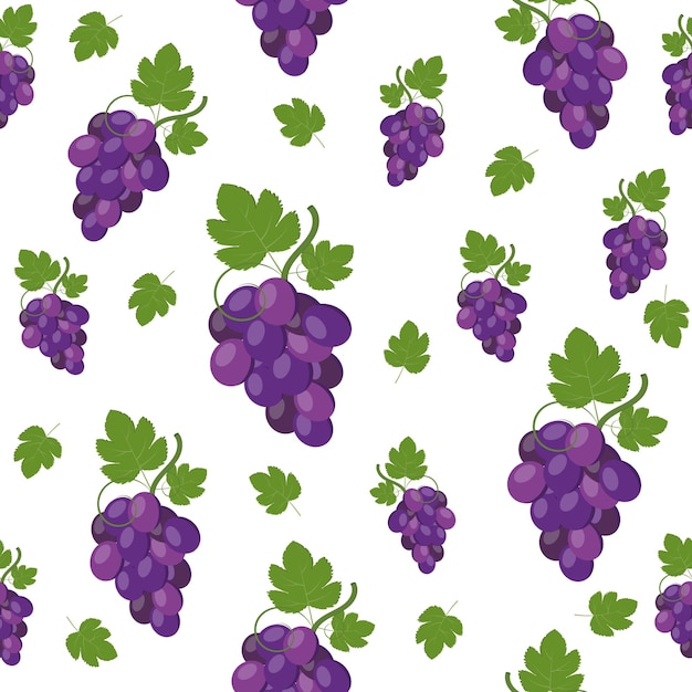 Grape pattern on a white background, color vector illustration.