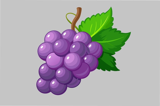 Grape Vector Illustration for Creative Projects