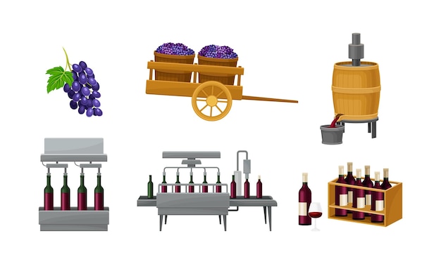 Vector grape wine production with alcoholic fermentation and pouring in bottles process vector set