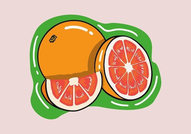 Grapefruit collection. A set of grapefruit icons, slices, grapefruit cut in half, circles.