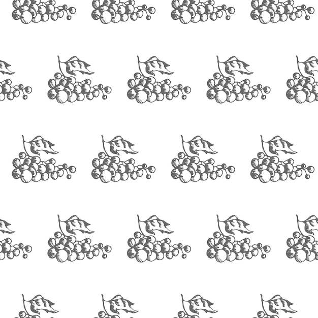 Grapes seamless vector pattern