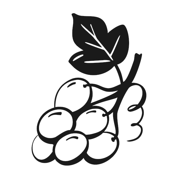 Grapes symbol of wine Vector image of food ingredients Design of natural fruits and organic