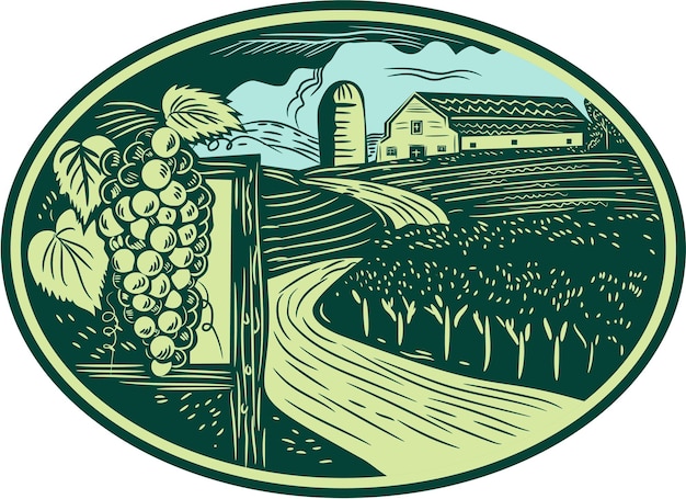 Grapes Vineyard Winery Oval Woodcut