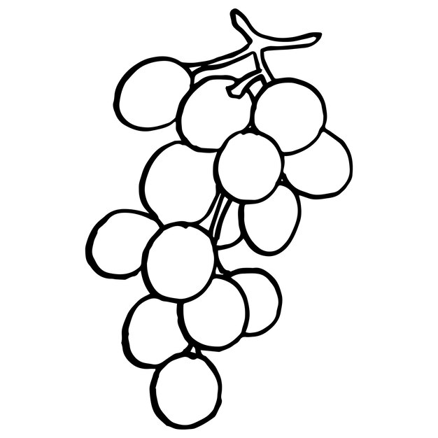 Grapes With Leaves Hand drawn grape bunches