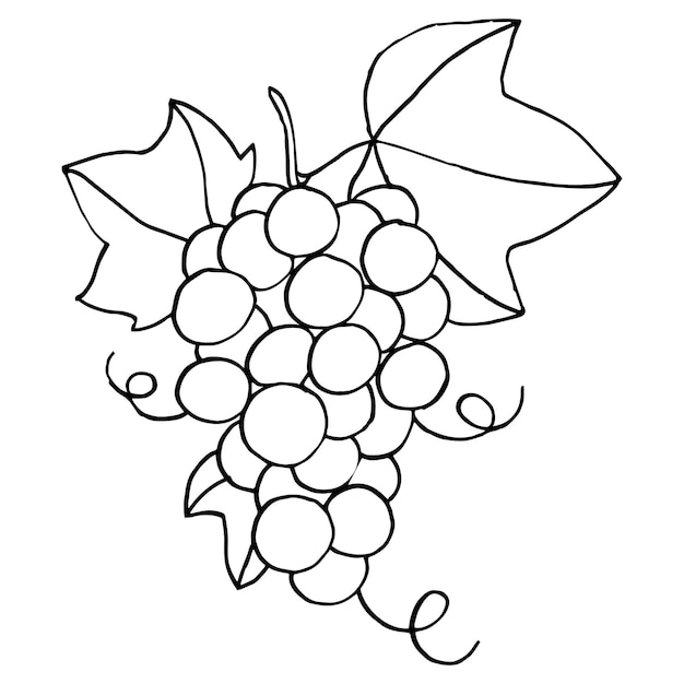 Grapes With Leaves