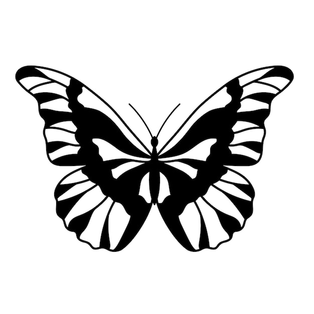 Graphic black Butterfly isolated on white background Vector illustration