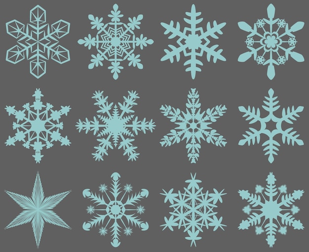 Graphic collection of snowflakes vector designThe beautiful element for many purposes