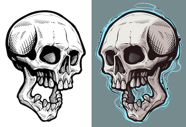 Graphic detailed hand drawn human skull sketch