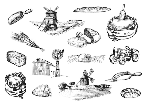 Graphic illustrations of miller stuff in vector Hand drawn set of bakery and pastry goods in engraving style