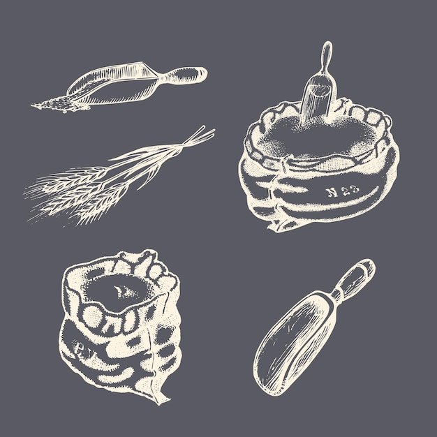 Graphic illustrations of miller stuff in vector Hand drawn set of farm goods in engraving style