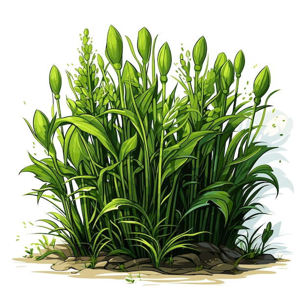 Grass border vector illustration