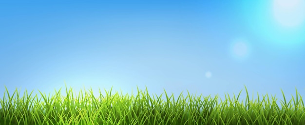 Grass Border With Sky Background