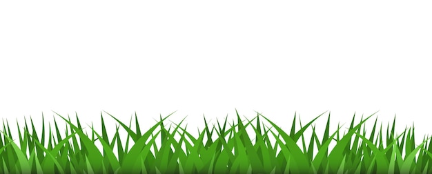 Grass borders plant Illustration