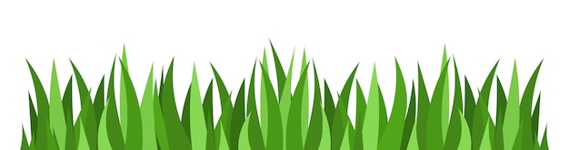 Grass Borders . Vector Illustration