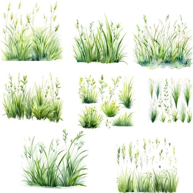 Grass collection in watercolor style