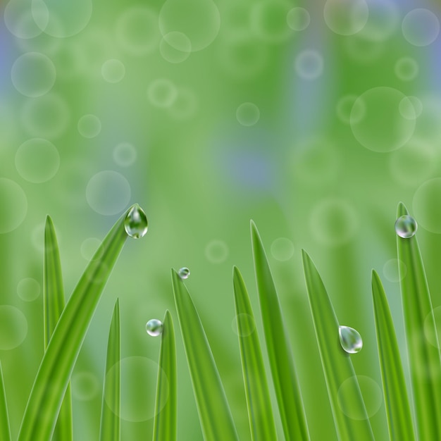 Grass in droplets of water seamless border