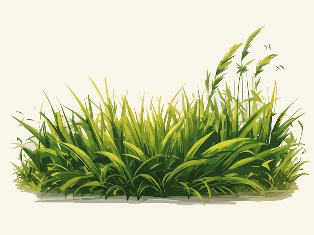 grass graphic style illustration