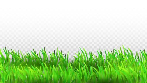 Grass Growing Green Plant Rural Landscape Vector