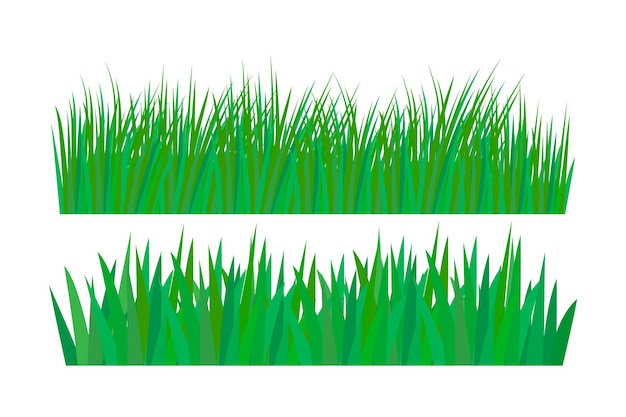 Grass illustration