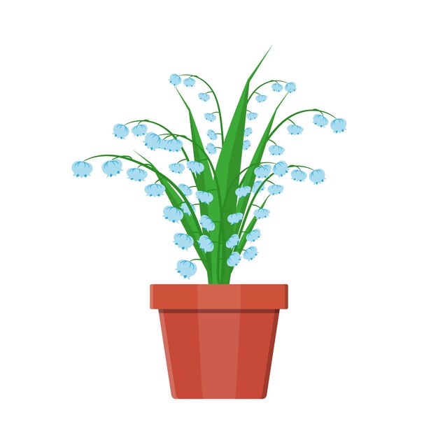 Grass plant in flower pot