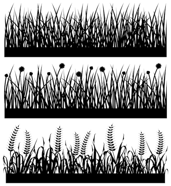 Grass Plant Flower Silhouette.