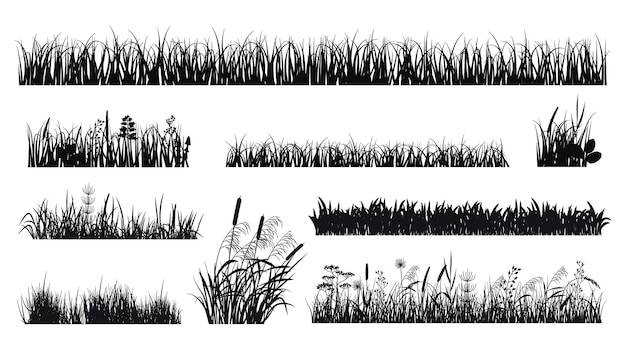 Grass silhouettes Meadow silhouette lawn edges or plants Black isolated botanical garden elements with flowers herbs and reeds exact vector set