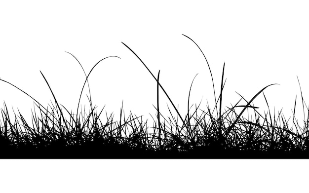 Grass vector silhouette isolated on white background fill with black color grass growing above