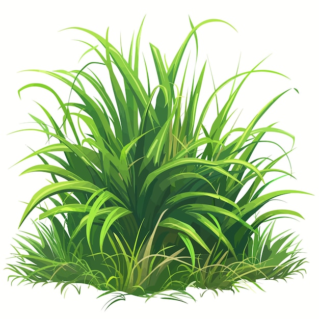 Grass vector