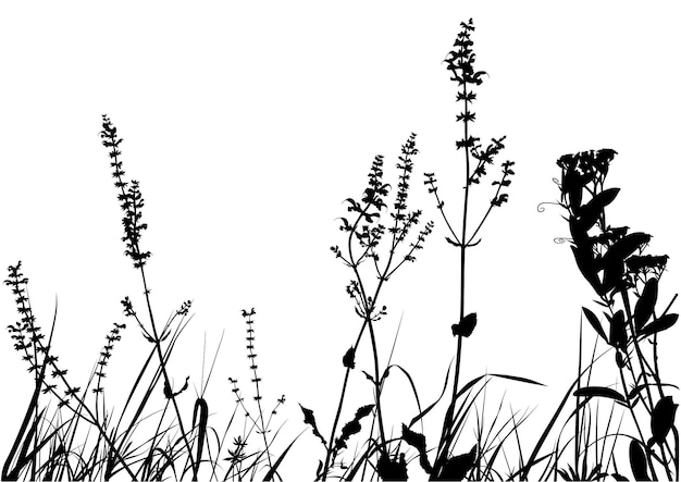 Grass and Weeds Silhouette