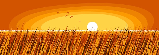 Grassland meadow in setting sun of evening sundown scenic tranquil and calm landscape vector illustration, forget about all the problems and relax concept.