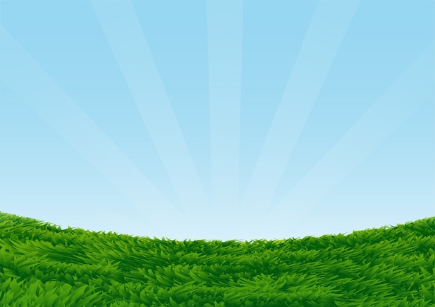 Grassy Field on blue sky background